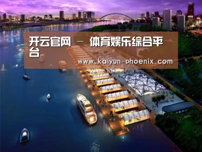 案例展示八