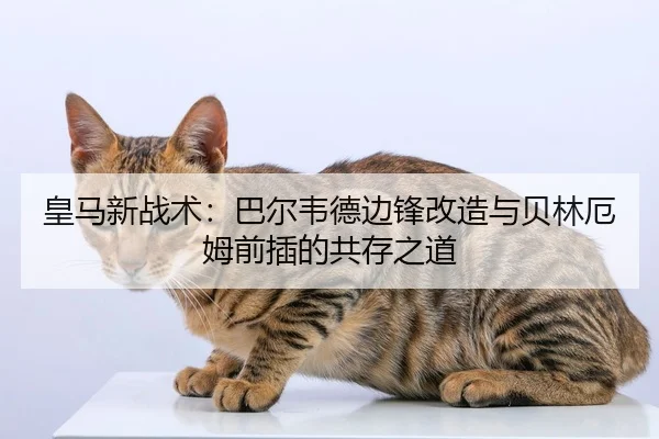 皇马新战术：巴尔韦德边锋改造与贝林厄姆前插的共存之道