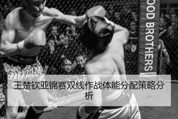 王楚钦亚锦赛双线作战体能分配策略分析