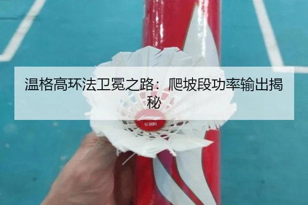 温格高环法卫冕之路：爬坡段功率输出揭秘