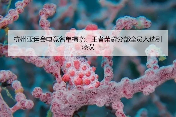 杭州亚运会电竞名单揭晓，王者荣耀分部全员入选引热议
